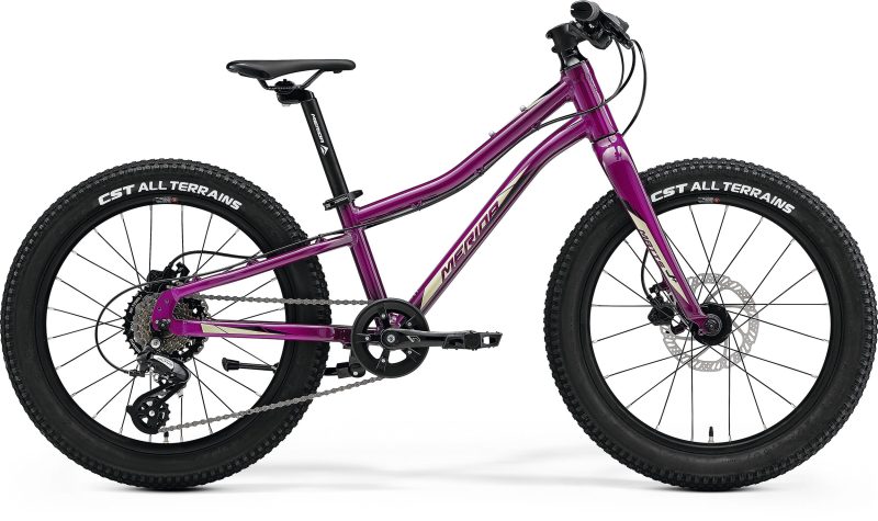 Merida Matts J20+ Junior MTB