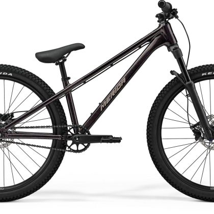 Merida Dirt 700 Jump bike