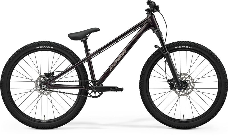 Merida Dirt 700 Jump bike