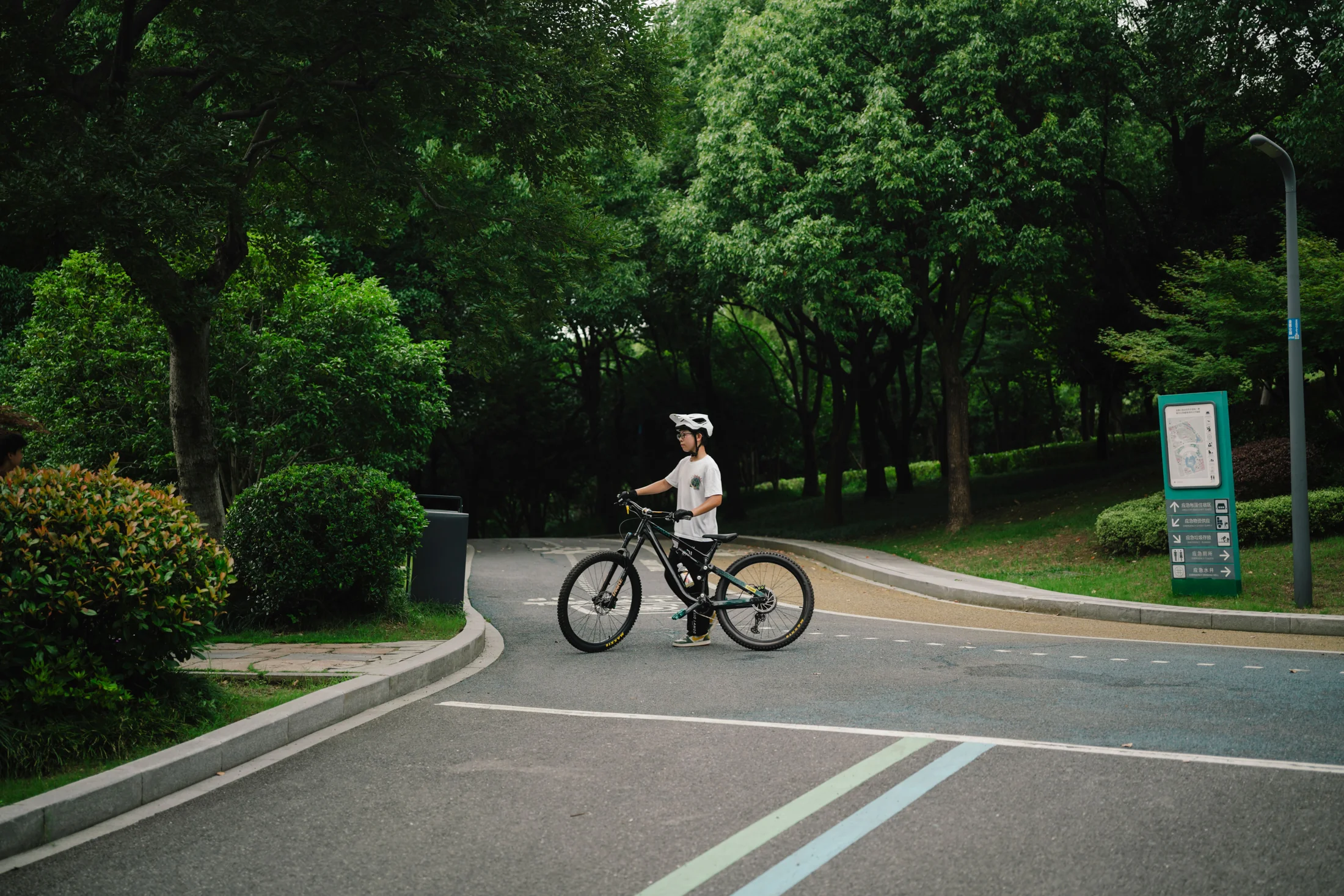 A child wearing a helmet riding a bicycle along a leafy park path